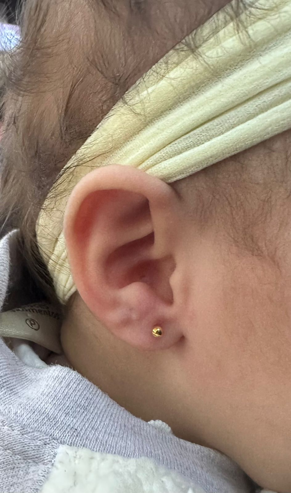 Galeria Furo de orelha humanizado